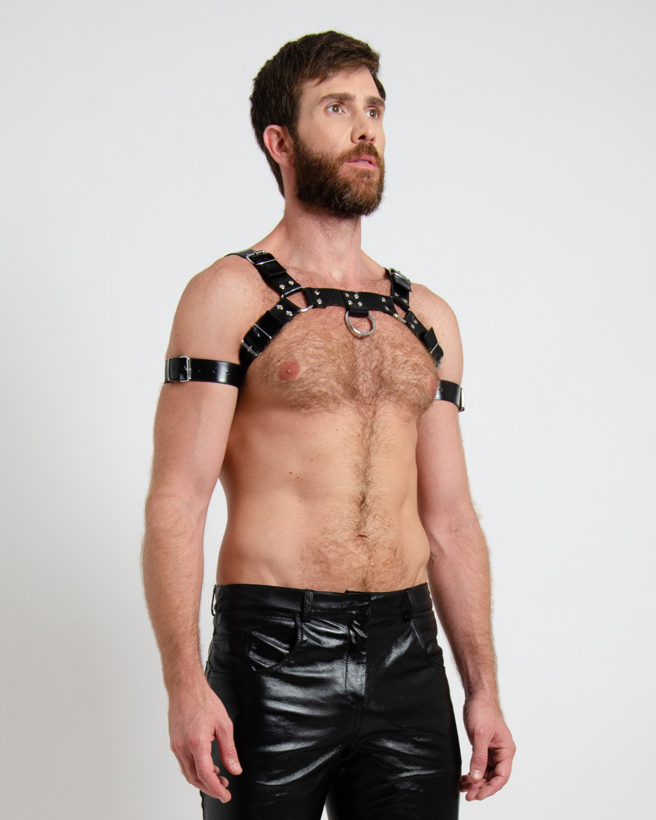 Harness Classico 02