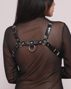 Classic Harness 01