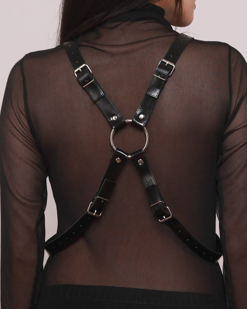 Harness X 01