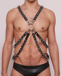 Harness Montilla - Argola