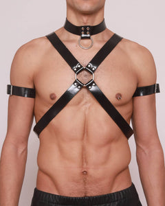 X Harness 02