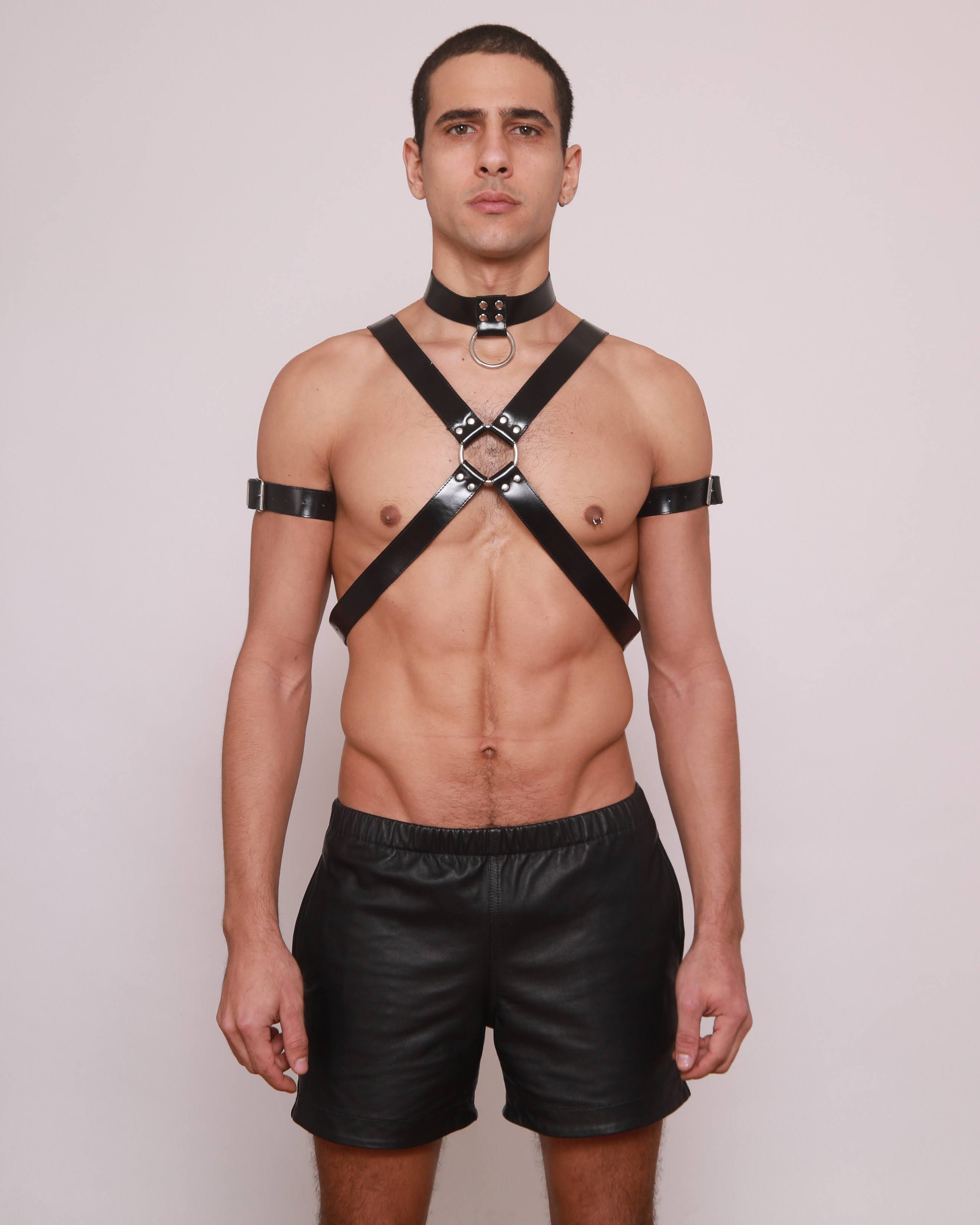 Harness X 02